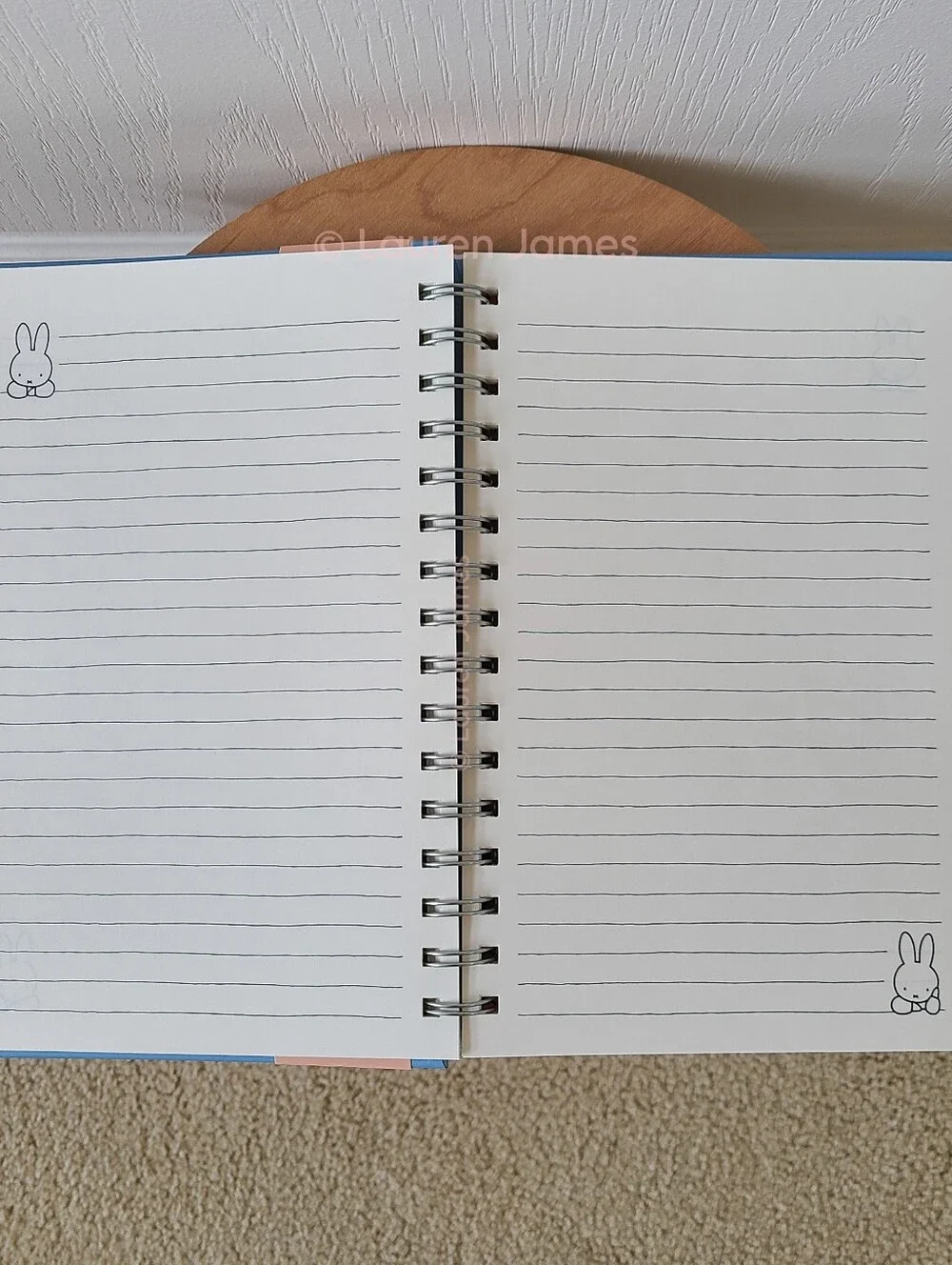 Miffy Blue and Green Notebook Set